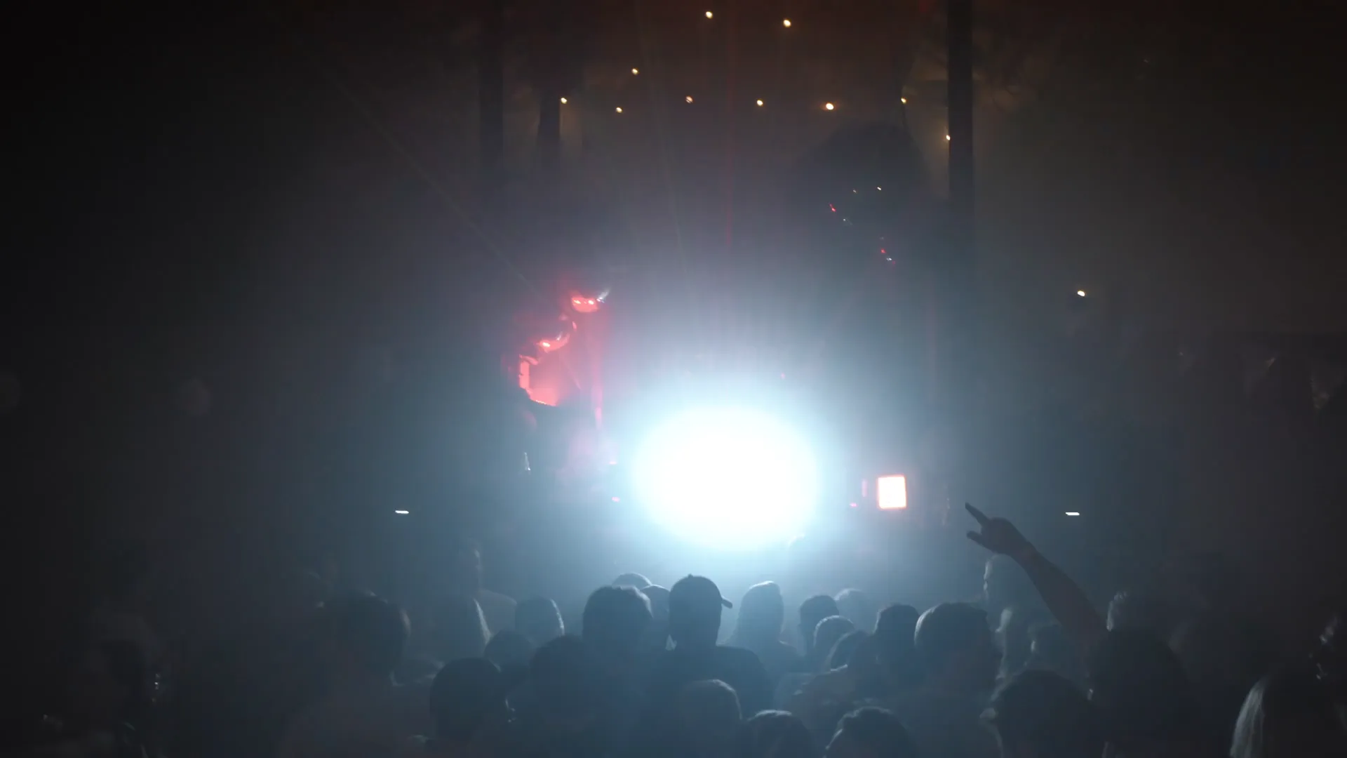 Everbass party moment
